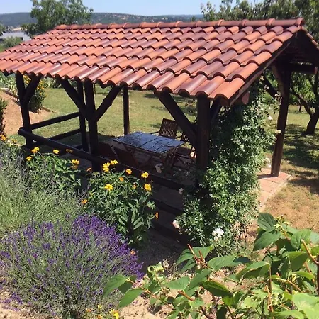 Apartamento Erdgeschosssuite Mit Terrasse *